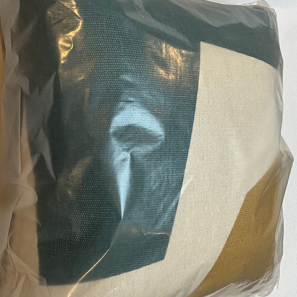 West Elm Geometric Accent Pillow - Blue, Gold, and Cream